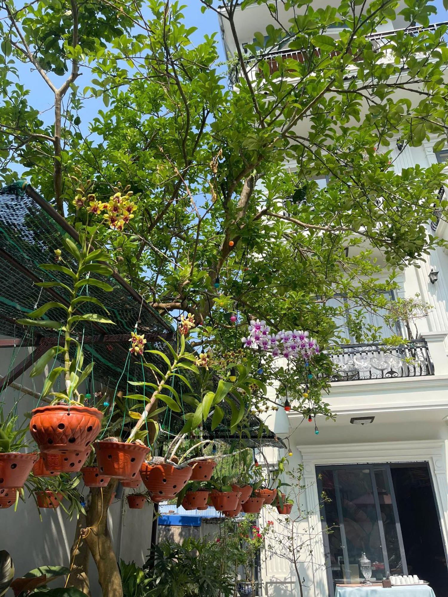 Lynh'S Villa Dong Khe Sau Exterior foto
